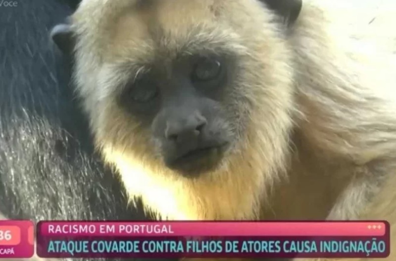 VÍDEO: 'Mais Você' exibe vídeo de macacos ao comentar caso de racismo