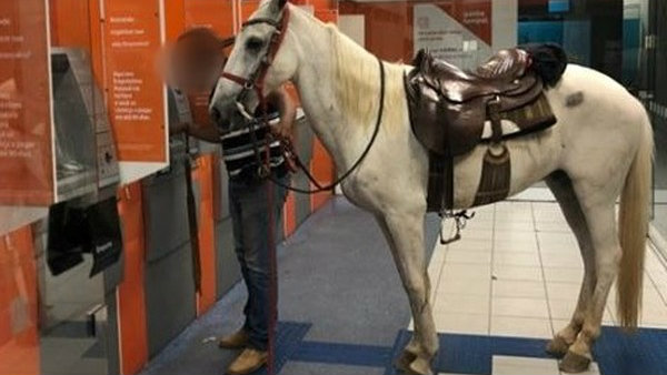 INUSITADO : Homem entra com cavalo dentro de agência bancária para sacar dinheiro