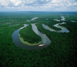 O PIB Verde e as vocações da Amazônia, por Mara Paraguassu