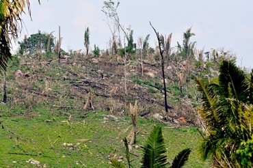 Secretaria de Desenvolvimento Ambiental de Rondônia aplica 103 autos de infração em dois meses