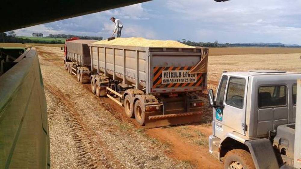 RIQUEZA RURAL: Empresas e profissionais do agronegócio apostam no município de Cerejeiras