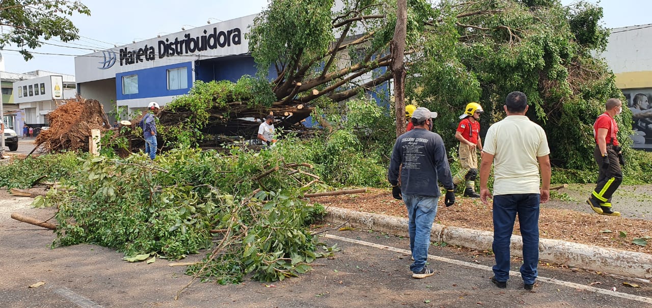 CHUVA DE GRANIZO: Fenômeno natural assusta portovelhenses e causa estragos na cidade