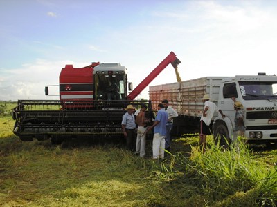 Rondônia é o estado que mais cresceu nos últimos 4 anos no setor agropecuário