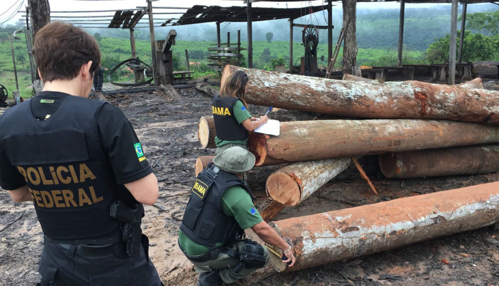 CRIMES AMBIENTAIS: Polícia Federal deflagra Operação Ojuara no sul do Amazonas