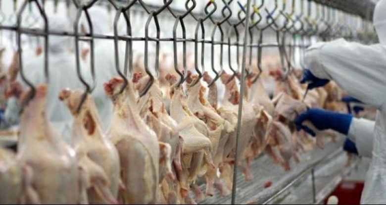 DADOS: Exportações de carne de frango recuam 30% em junho com greve dos caminhoneiros