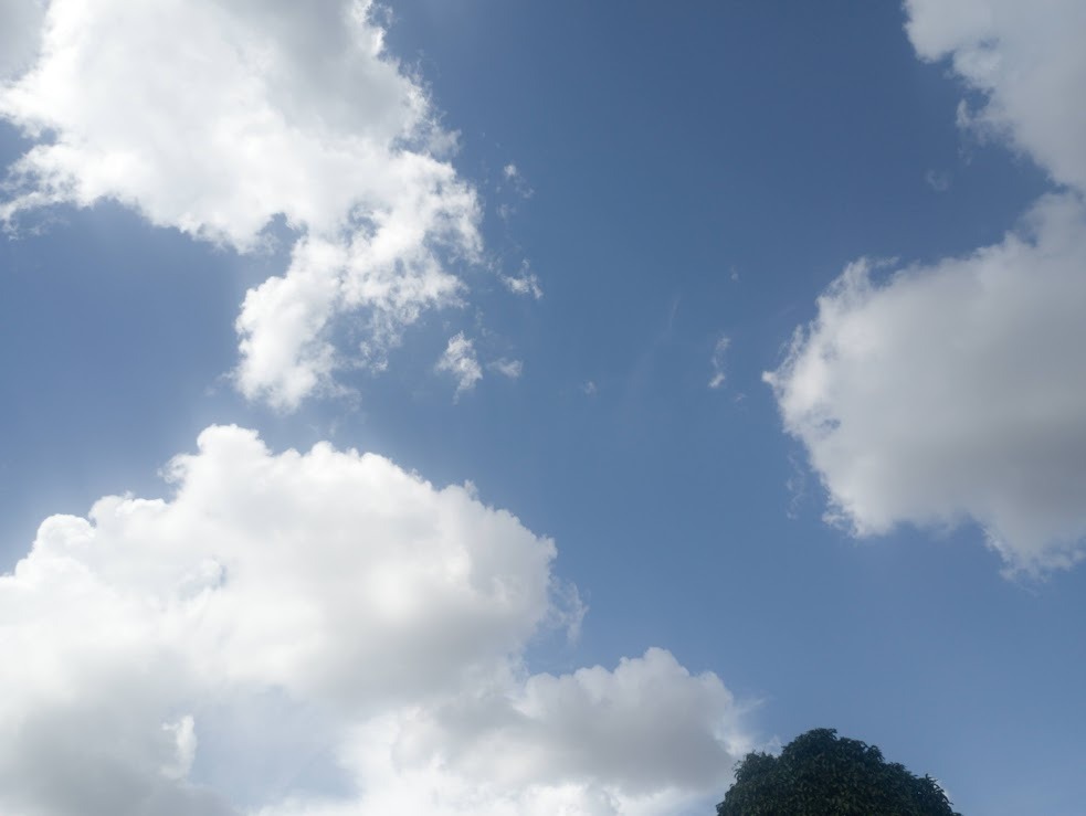 QUENTURA: Rondônia tem quarta-feira (3) com calor e céu parcialmente nublado em Cujubim