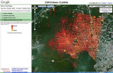 Google elabora ferramenta de monitoramento e revela índices de desmatamentos em Rondônia