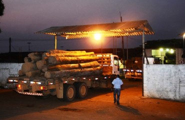 Santo Antônio Energia doa madeira para penitenciária Ênio Pinheiro