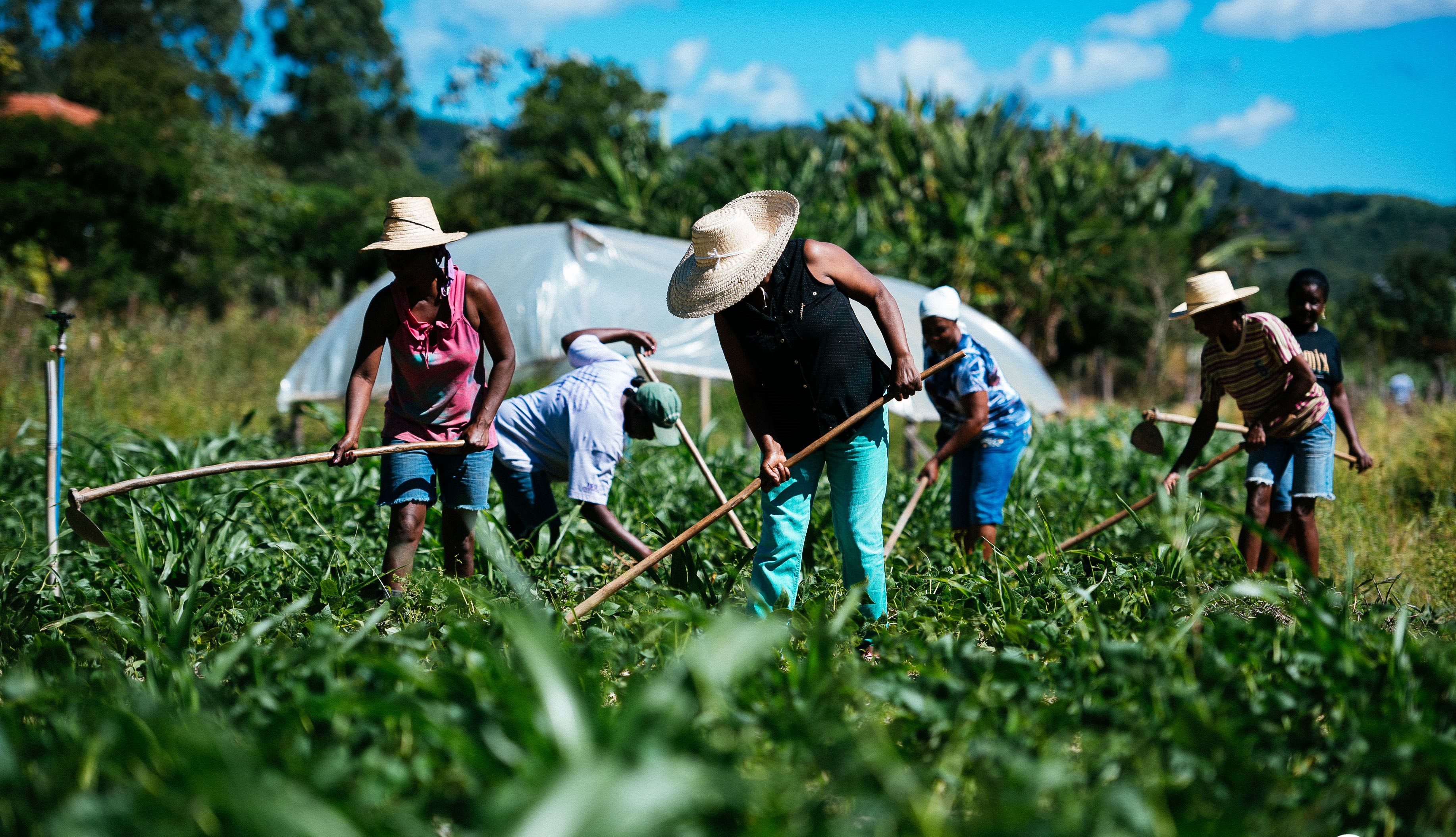 SETOR PRODUTIVO: Em Cerejeiras, Emater realiza Dia de Pecuária Leiteira e 1ª Feira da Agricultura Familiar