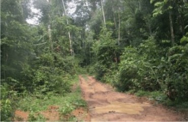 1240 km - Finalizada a conferência do rally de velocidade da Amazônia 