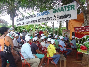 Emater mostra experiências com Café em Ouro Preto D’Oeste