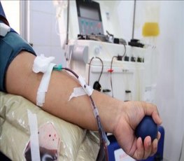 Número de doadores de sangue cai no período de férias escolares