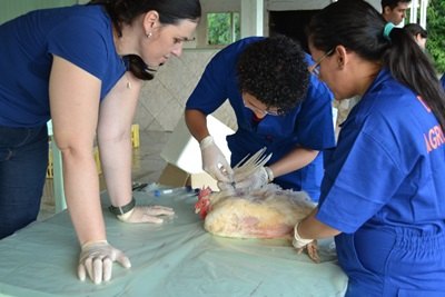 Idaron é treinada para prevenção de enfermidades em aves