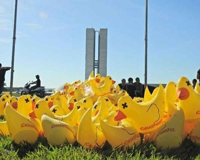 Cinco mil patos são colocados no gramado da Esplanada dos Ministérios