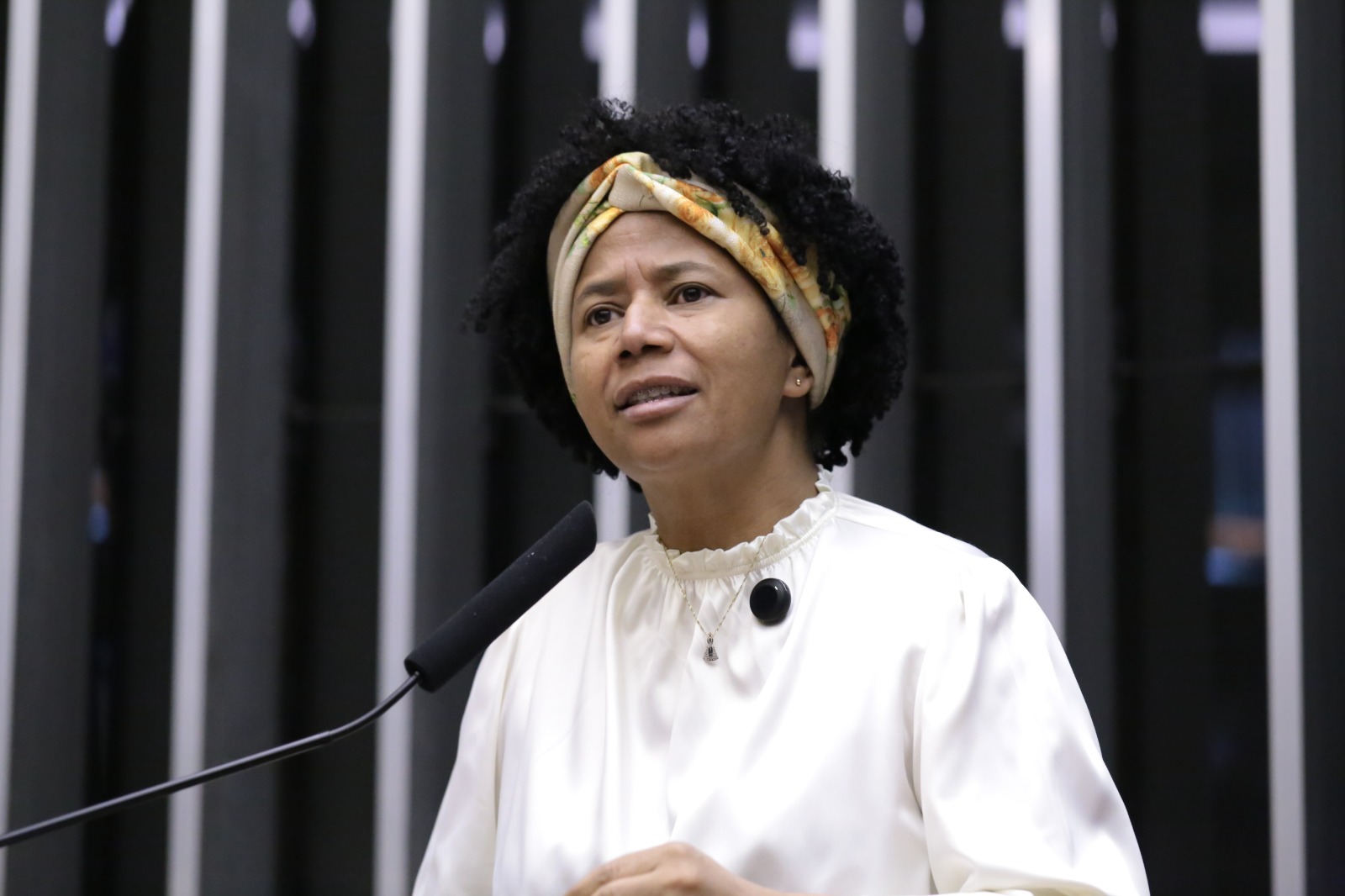 SÍLVIA CRISTINA: Deputada volta a cobrar urgência na votação da PEC 47 da transposição