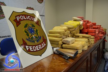 JI-PARANÁ  - Polícia Federal  apreende mais de 200 kg de Cocaína