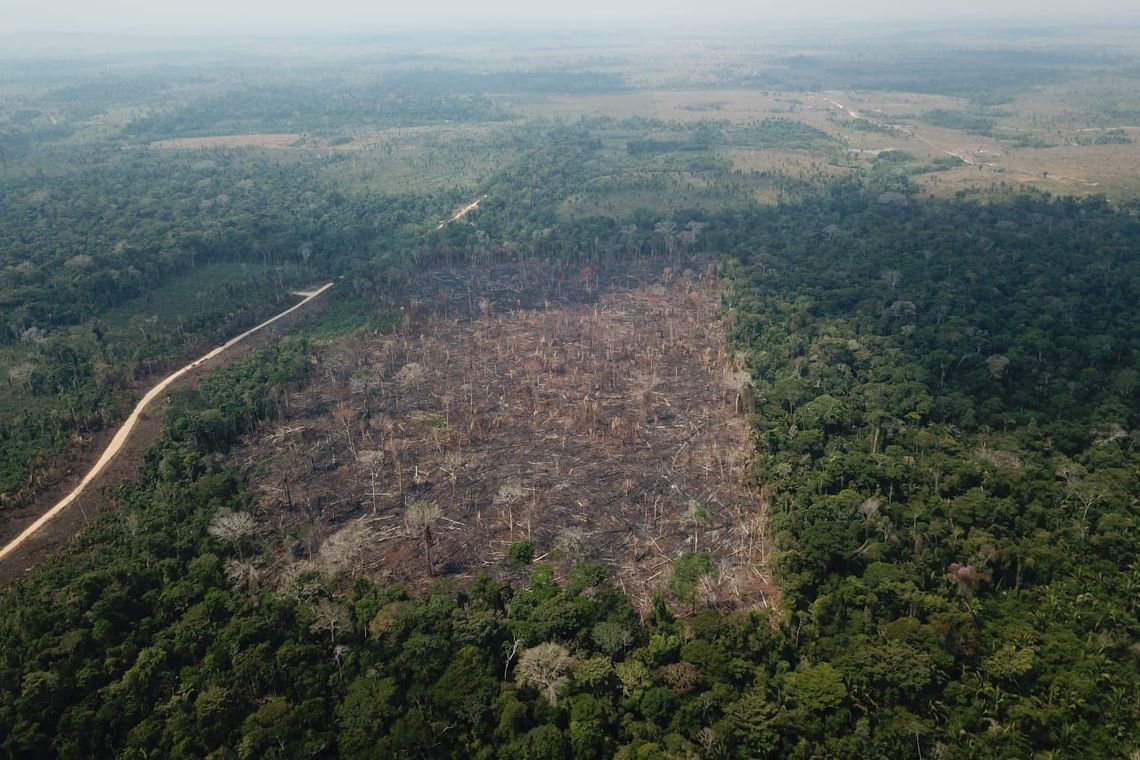 REDUÇÃO: INPE informa que focos de incêndio na Amazônia caíram 16% em setembro