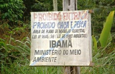 Ataque de pistoleiro em acampamento de Sem Terra leva terror ao campo em Rondônia - Confira Vídeo