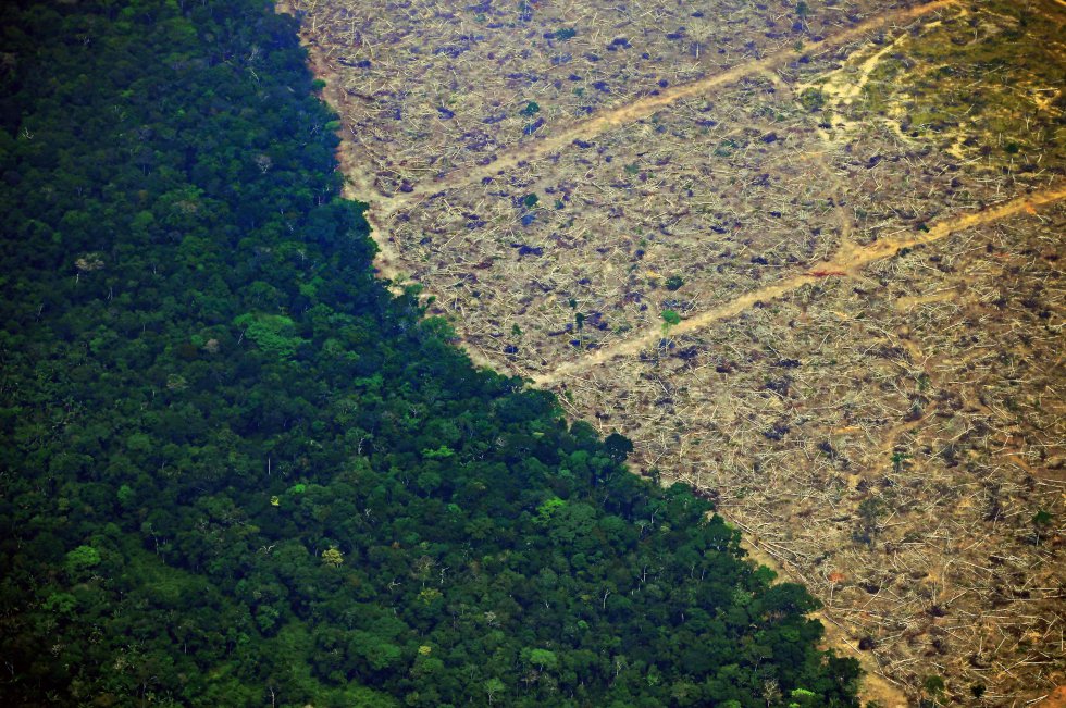 QUEIMADAS: El País divulga série de fotos de incêndio na floresta de Rondônia