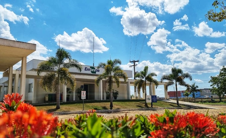 ANIVERSÁRIO: Embrapa RO completa 46 anos na agricultura estadual 