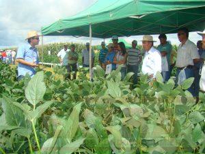 Nesta quinta-feira Embrapa inicia “Dias de Campo de Soja 2018” em Rondônia