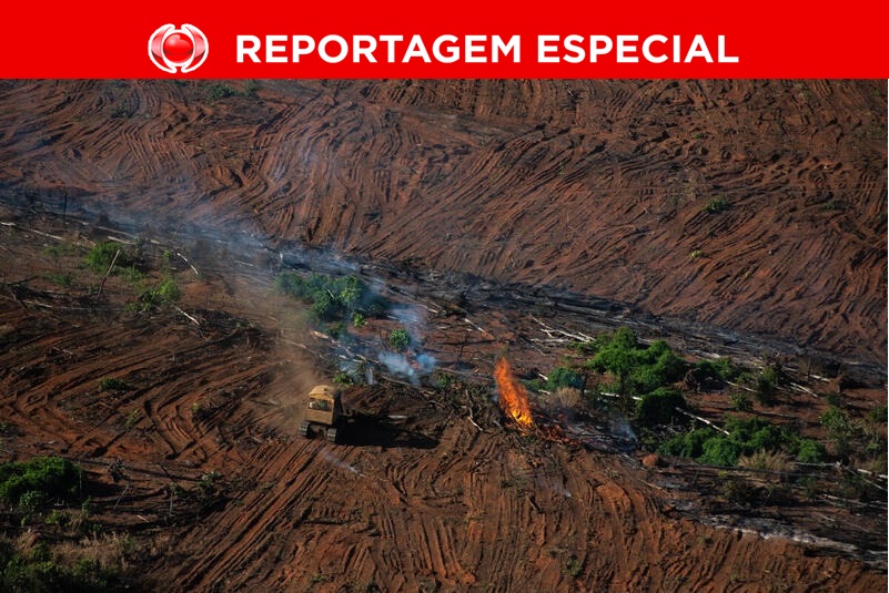 DESTRUIÇÃO: Imazon aponta aumento de 190% de desmatamento em Rondônia