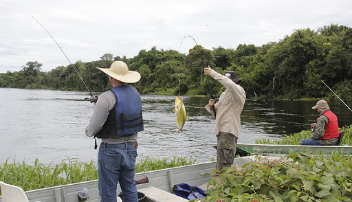 CORONAVÍRUS: Pesca esportiva é autorizada novamente no estado de Rondônia