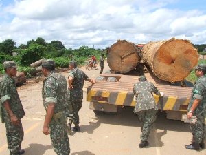 Exército retira toras de madeira apreendidas em Alto Paraíso