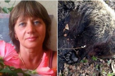 Mulher atacada por urso é enterrada viva e sobrevive