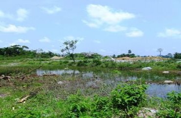 Empresa contratada pela Prefeitura degrada flora para extrair pedra brita de fazenda da capital – Fotos e vídeo