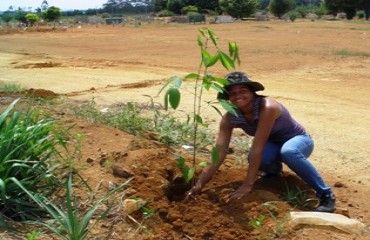 Cemitério é arborizado em ritmo de mutirão