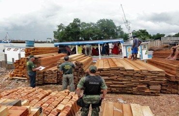 Floresta amazônica perdeu 135 km² no último bimestre de 2010, diz Inpe