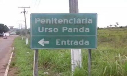 Apenado é flagrado com droga e celular no Urso Panda