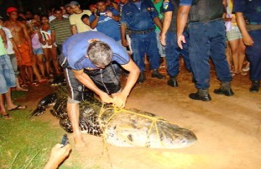 Criança de 11 anos é devorada por um jacaré no bairro Triângulo- Confira Fotos