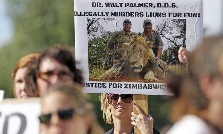 Zimbábue defende extradição de americano que matou leão Cecil