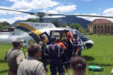 Homens morrem atacados por abelhas durante rapel