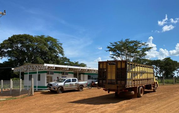 Agropecuária Pica Pau Comércio e Representações LTDA