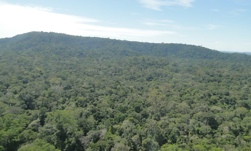 CONSULTA: Ministério diz que RO tem duas florestas aptas para concessões em 2023