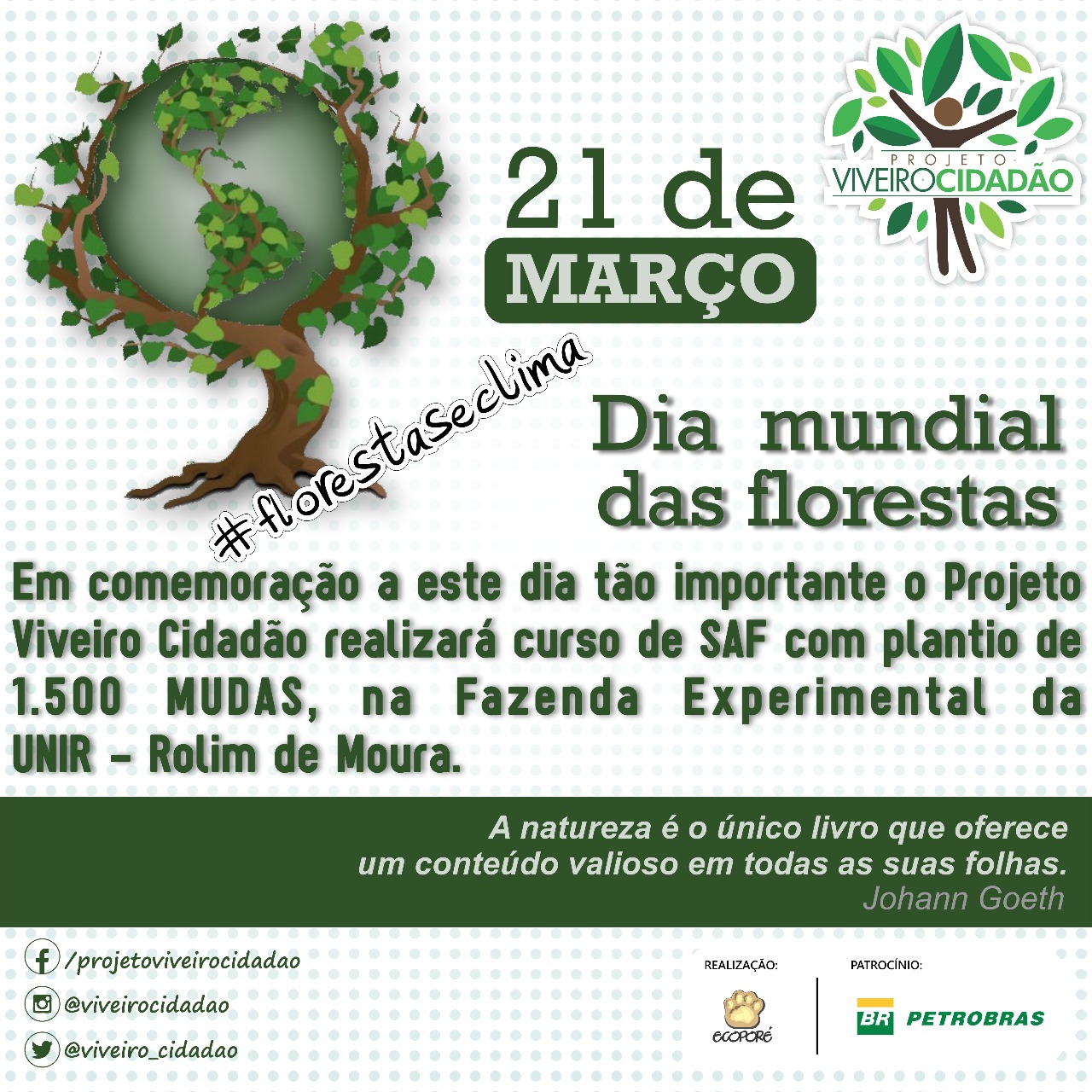 #FLORESTASECLIMA: Viveiro Cidadão e projetos promoverão plantio simbólico em todo o Brasil