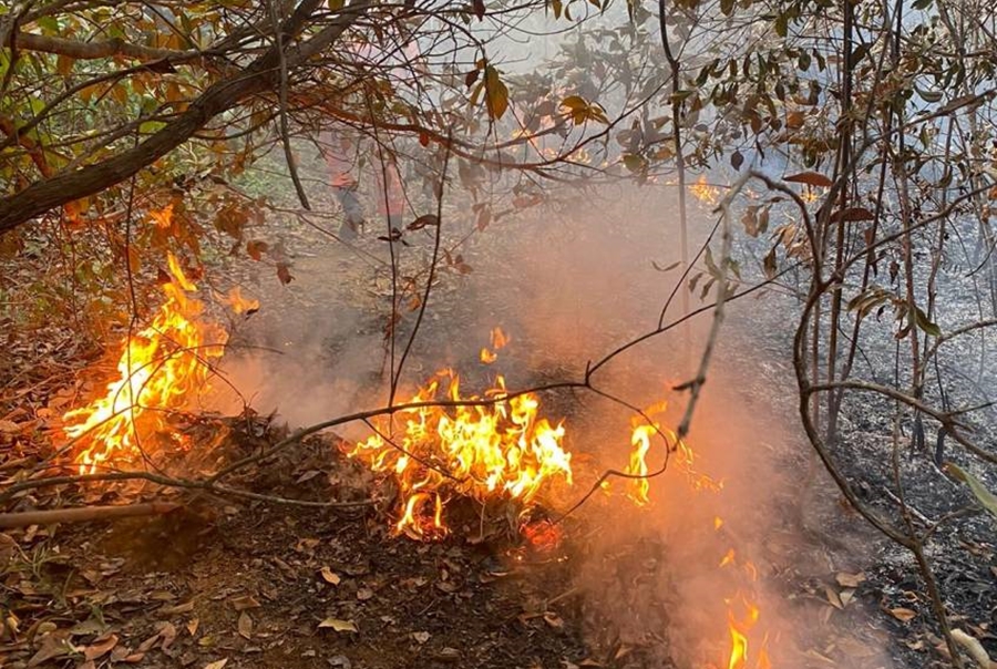 VÍDEOS: Bombeiros combatem dois grandes incêndios ao mesmo tempo; veja