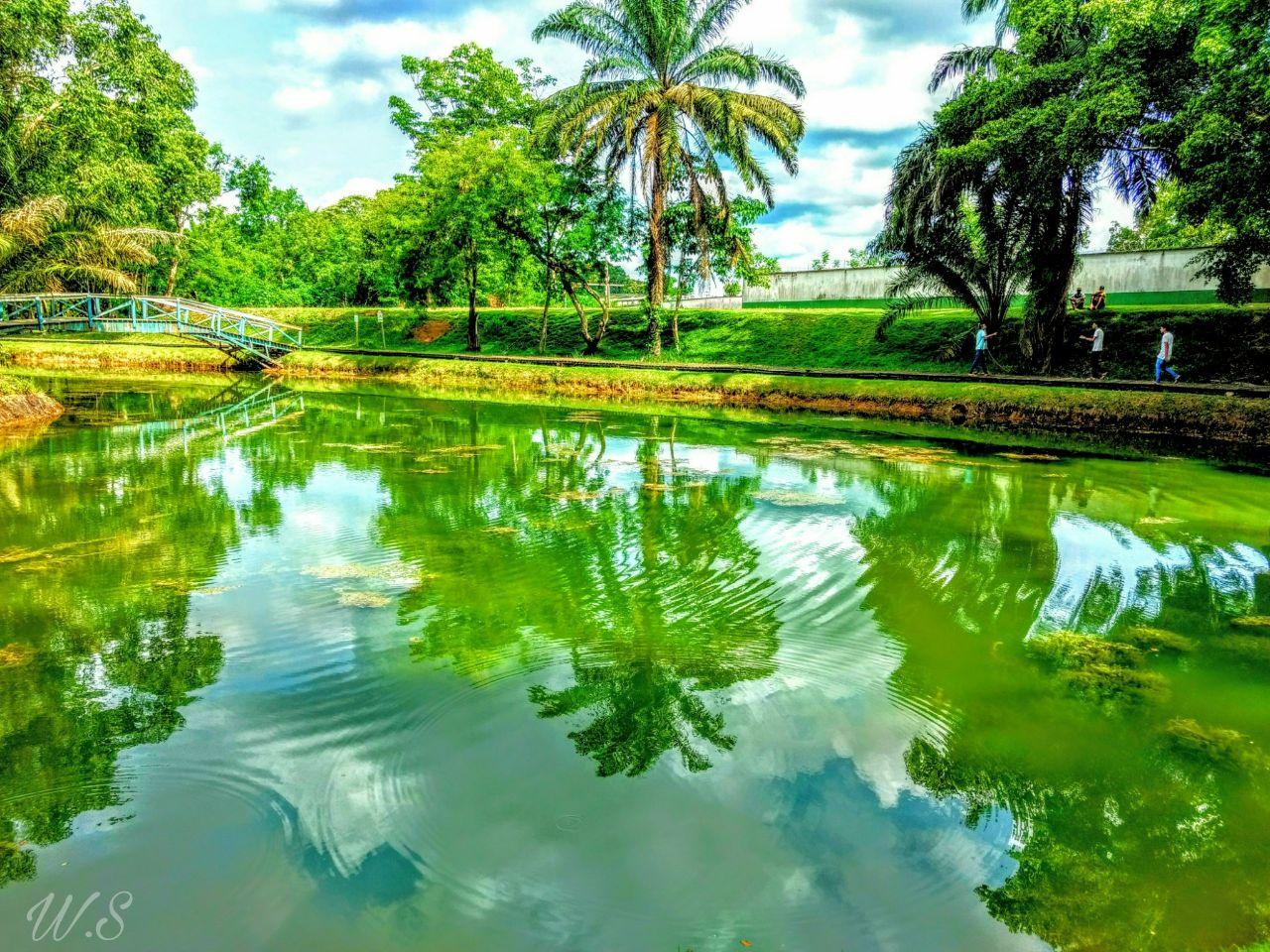 Jovem ganha prêmio de melhor fotografia com imagem do Parque Botânico