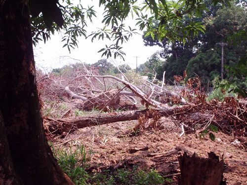 SEGUNDA  NOTA  DE  REPÚDIO - Associação de Preservação do Patrimônio Histórico de Rondônia