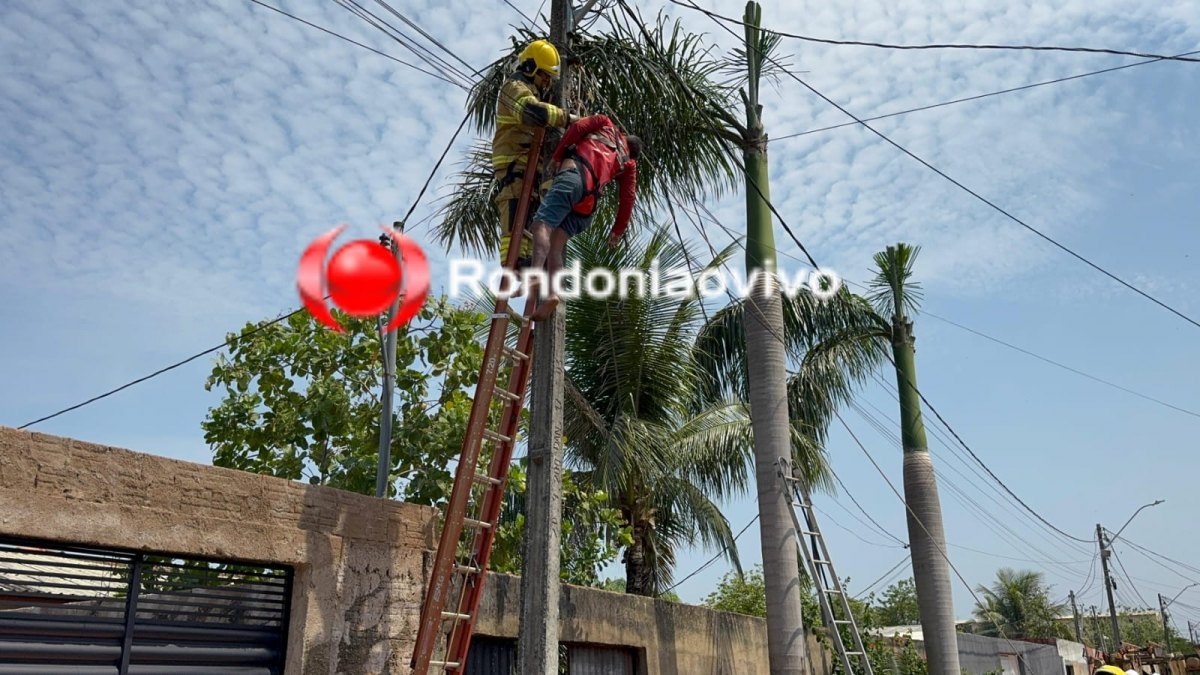 TRÁGICO: 'Léo eletricista' morre vítima de forte descarga elétrica ao subir em poste