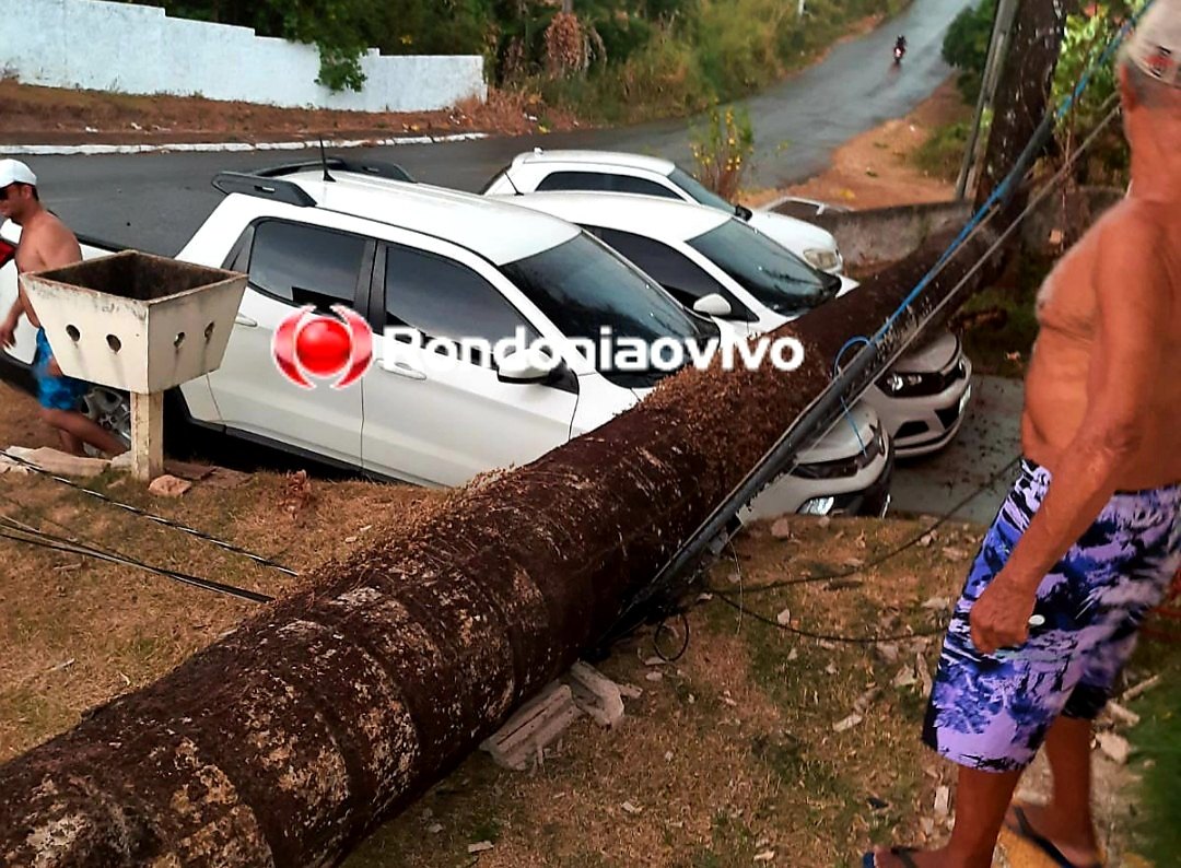 TEMPORAL: Forte tempestade derruba árvore e destrói carros em Porto Velho