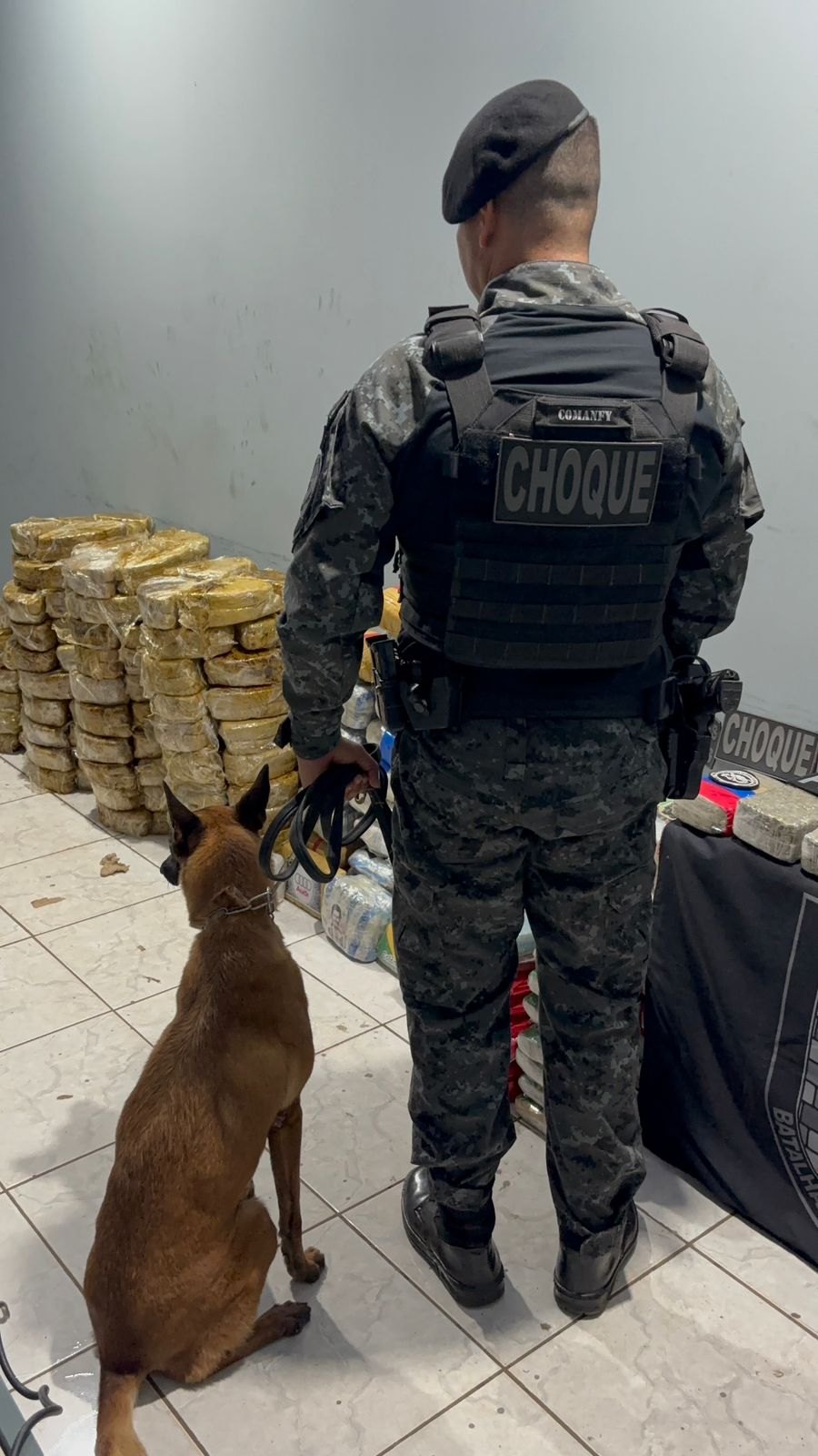 URGENTE: PM prende caminhoneiro com quase meia tonelada de drogas