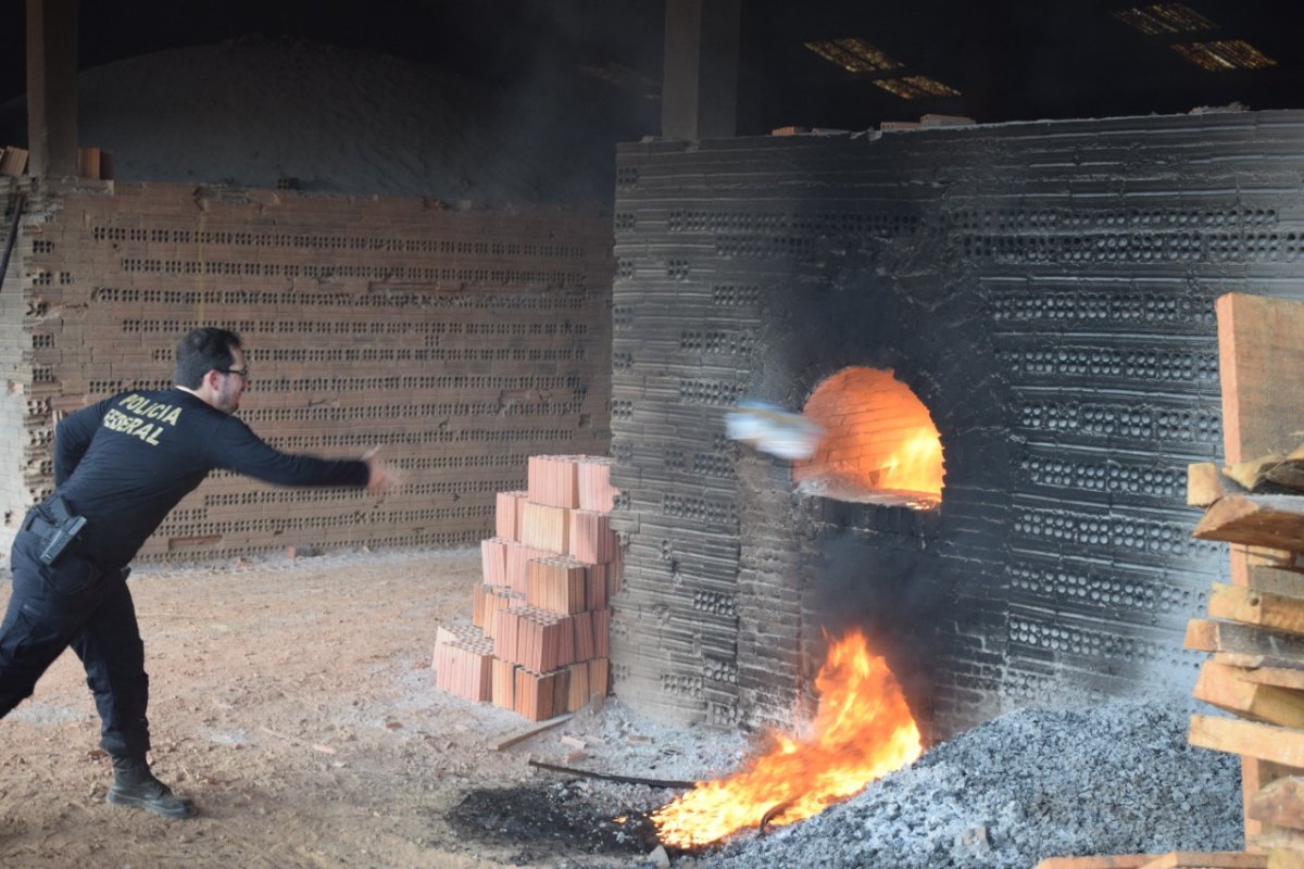 FOGO: PF incinera mais de uma tonelada de drogas em Porto Velho; VÍDEO