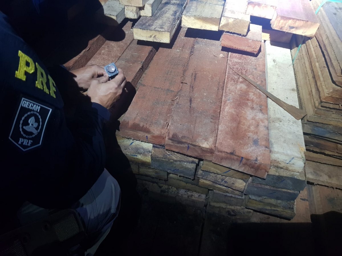 TRANSPORTE ILEGAL: PRF apreende sacas de carvão e madeiras durante operação em Rondônia 
