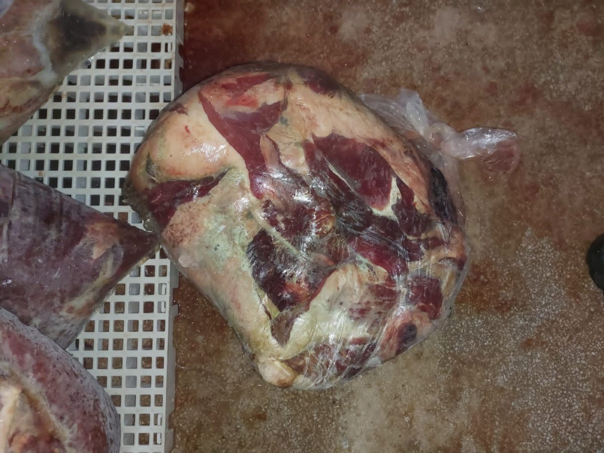 ESTRAGADAS: Oito toneladas de carnes entregues em escolas são apreendidas durante operação