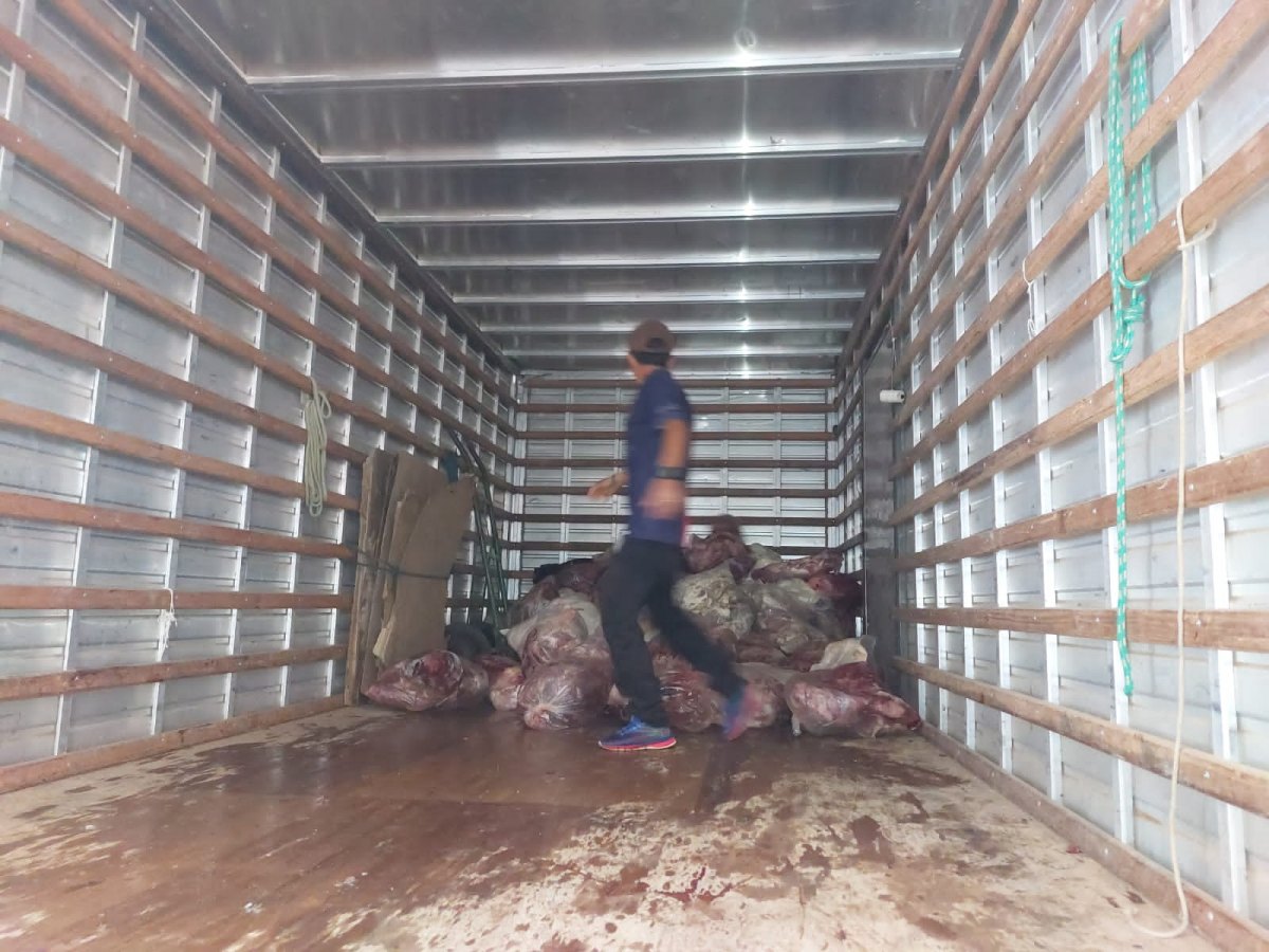 ESTRAGADAS: Oito toneladas de carnes entregues em escolas são apreendidas durante operação