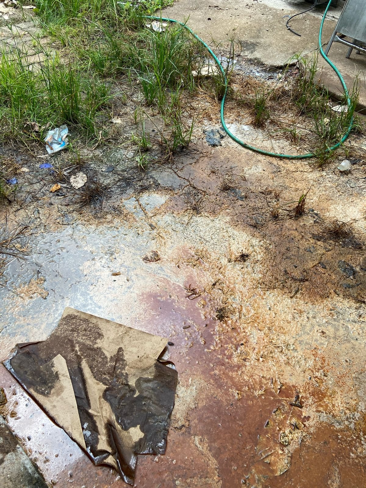 RETRATO DO ABANDONO: IML de Porto Velho opera em condições insalubres e sob risco de desabamento